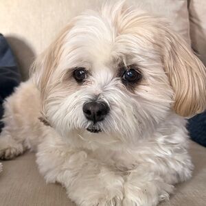 Meet your Posher, Jan